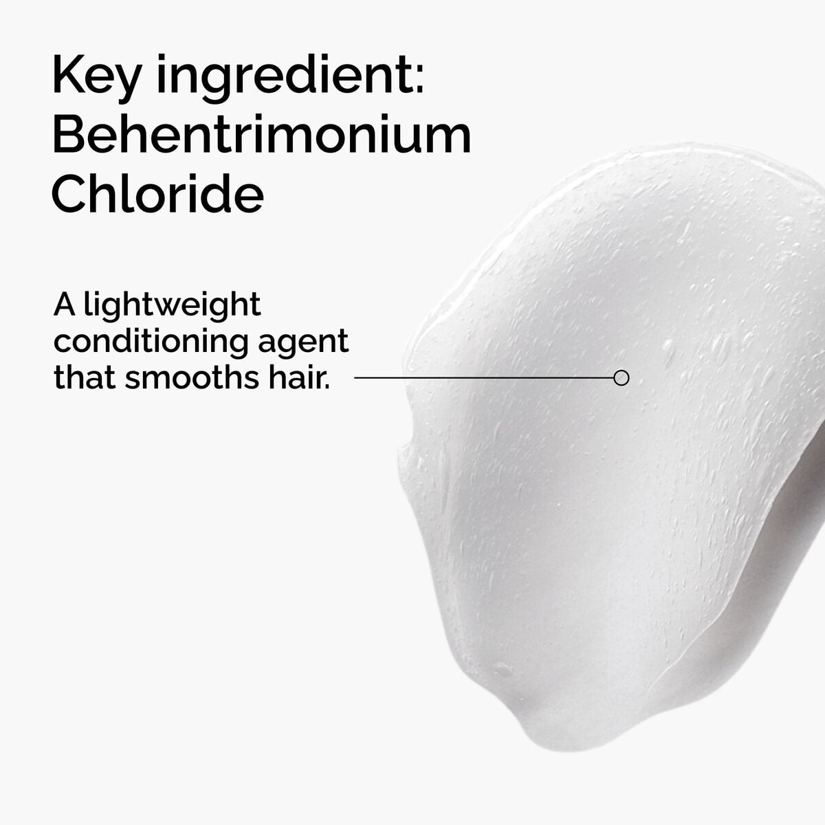 behentrimonium-chloride-2-conditioner-p6 FY25-D41247-ORD-Web-PDP-BTC-1x1-EN-2a.jpg