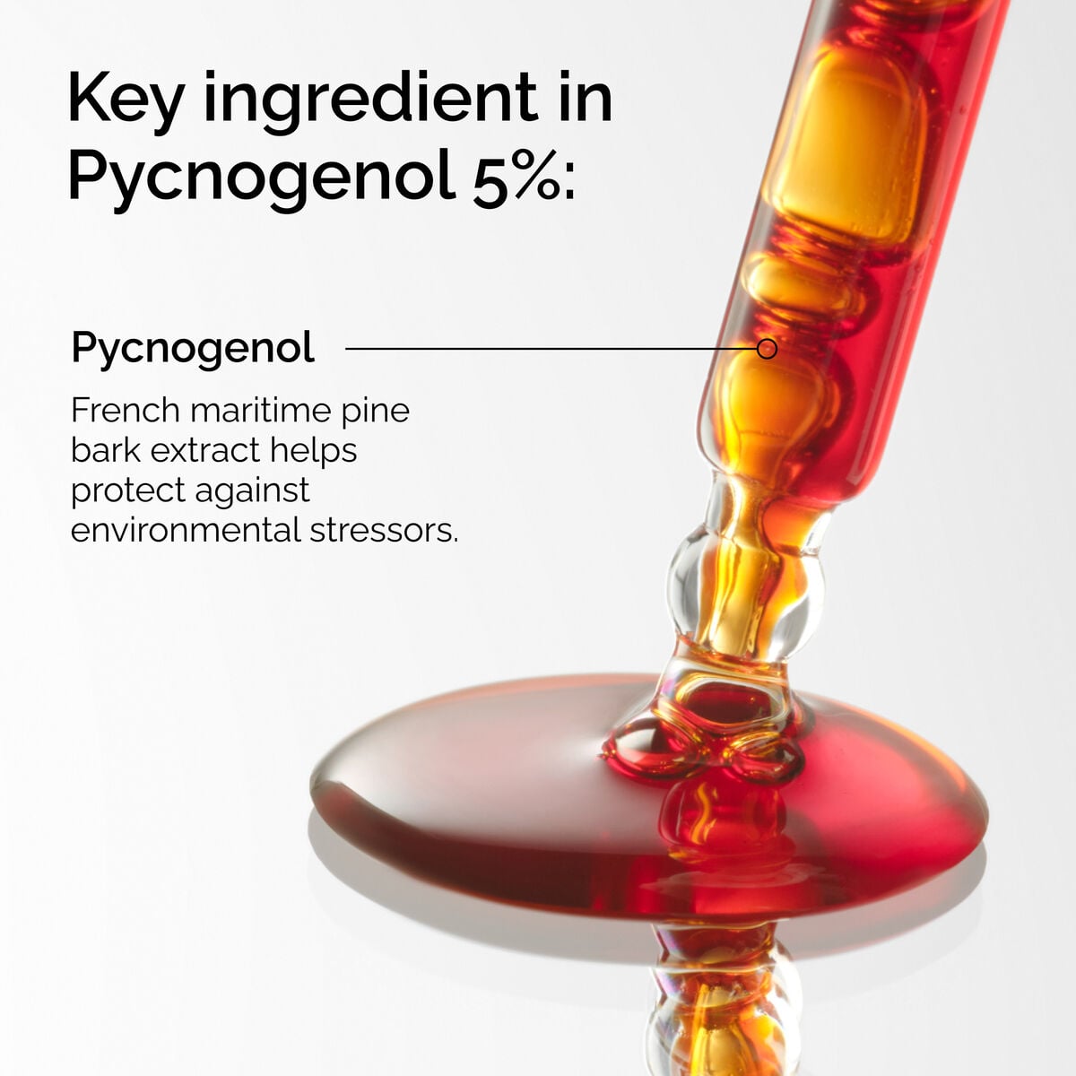 pycnogenol-5-o1 FY25-D41247-ORD-Web-PDP-Pyc-5pct-1x1-EN-2a.jpg