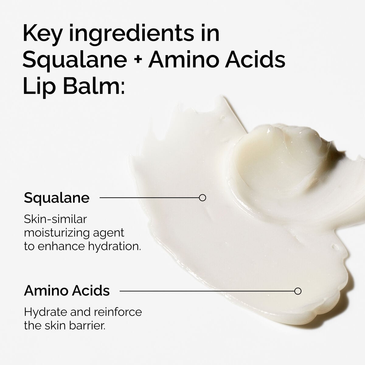 squalane-amino-acids-lip-balm-t6 FY25-D41247-ORD-Web-PDP-Sql-Amino-Lip-1x1-EN-2a.jpg
