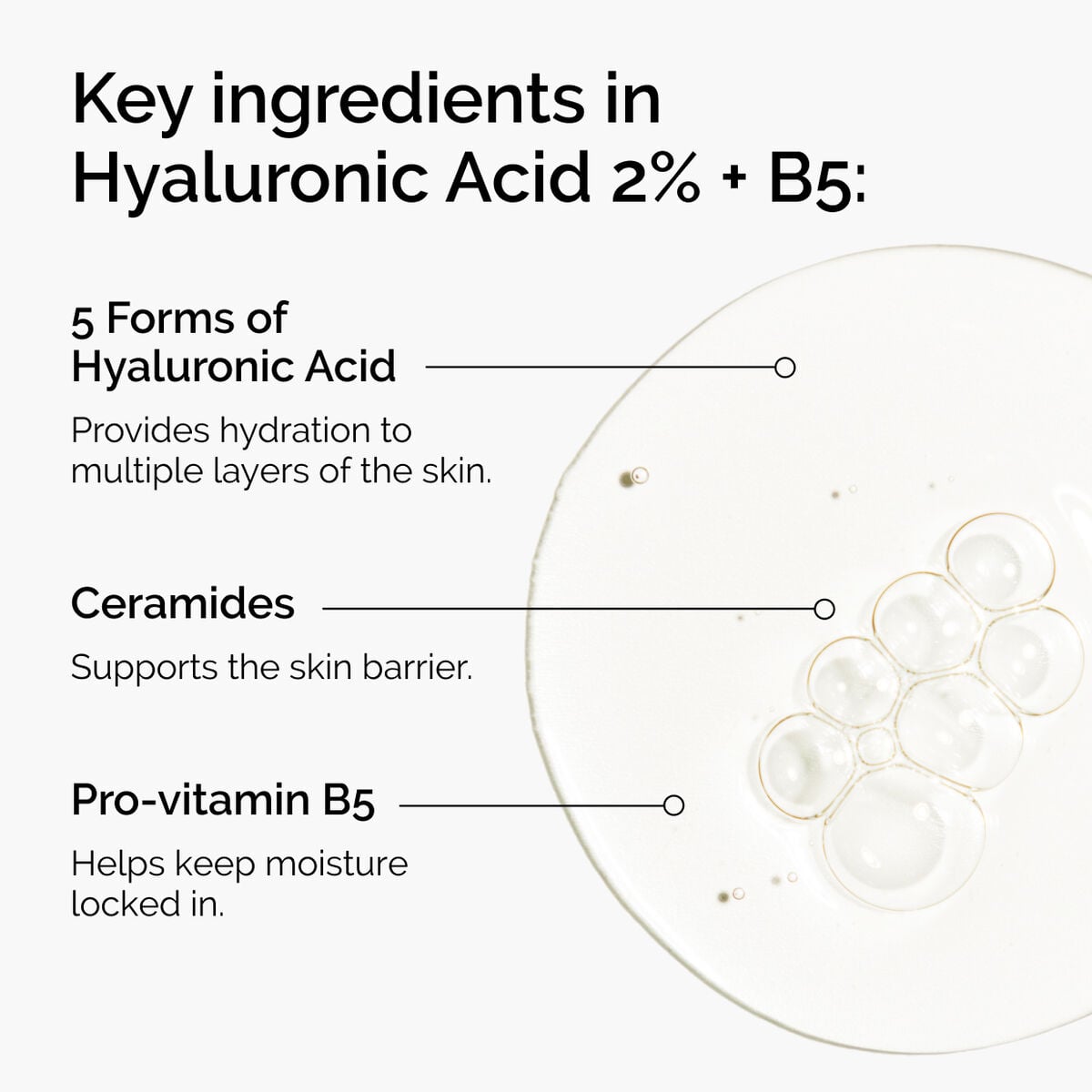 hyaluronic-acid-2-b5-with-ceramides-o3 ord-hyaluronic-acid-2pct-b5-hydrating-serum-ingredients-graphic.jpg