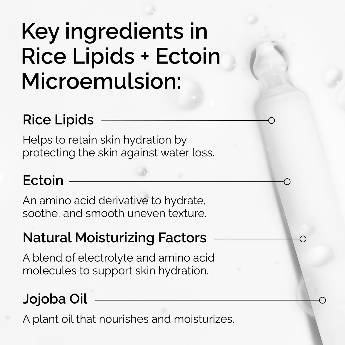 rice-lipids-ectoin-microemulsion-w3 ord-rice-lipids-ectoin-microemulsion-key-ingredients.png