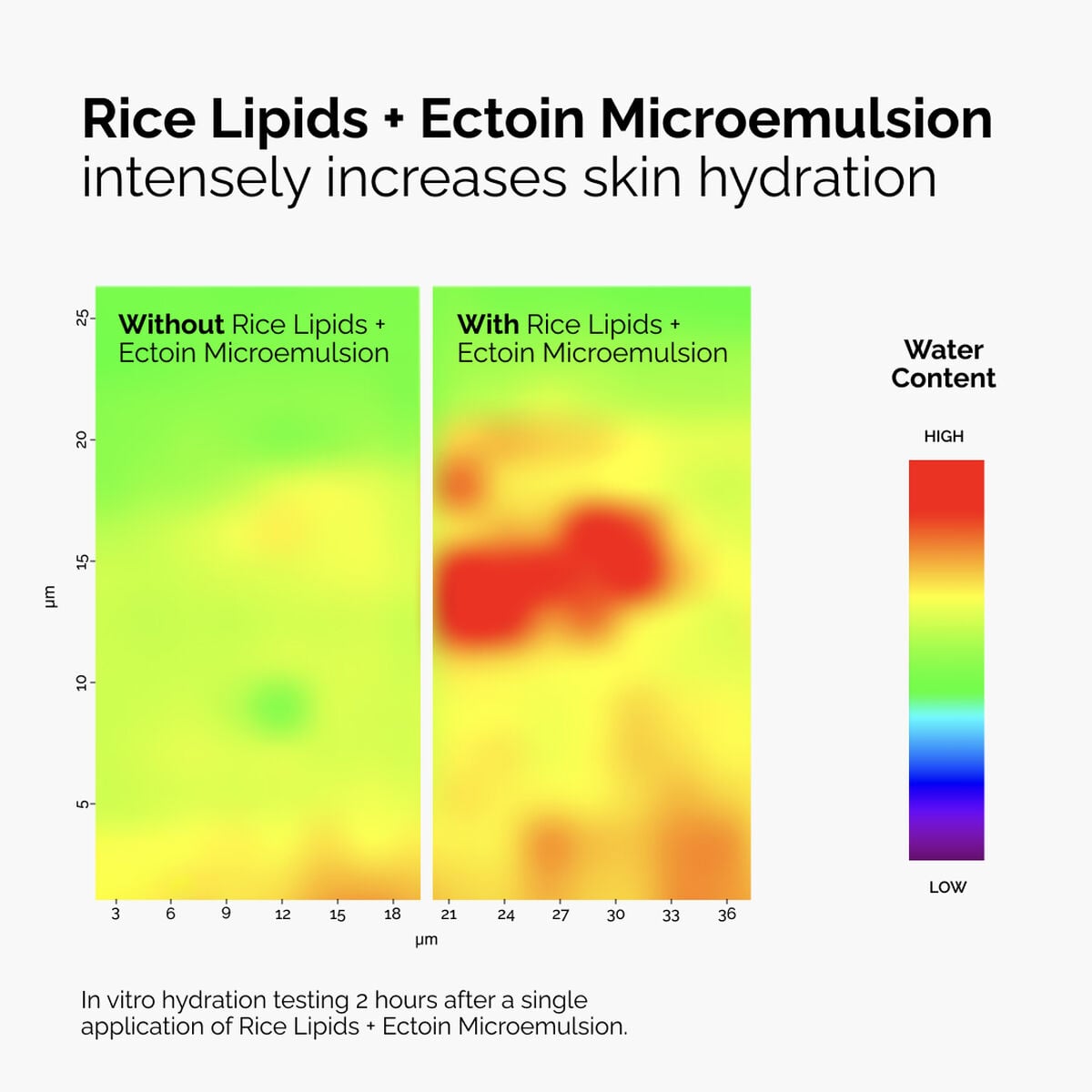 rice-lipids-ectoin-microemulsion-w3 ord-rice-lipids-ectoin-microemulsion-thermal-before-after.jpg